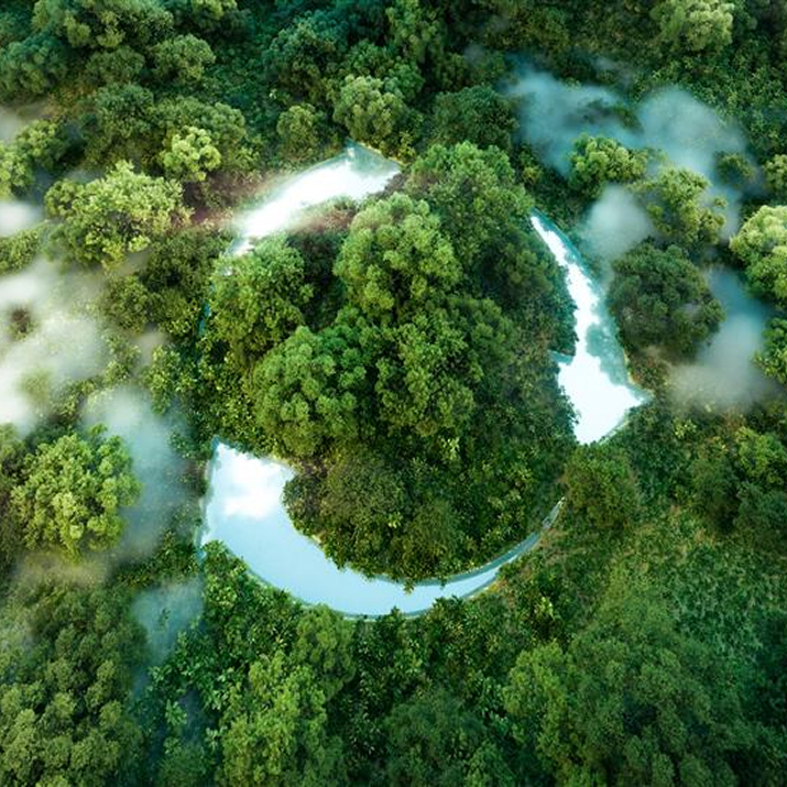 Environmental Stewardship